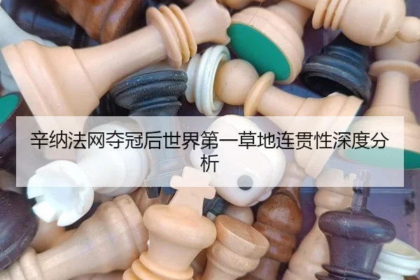 辛纳法网夺冠后世界第一草地连贯性深度分析